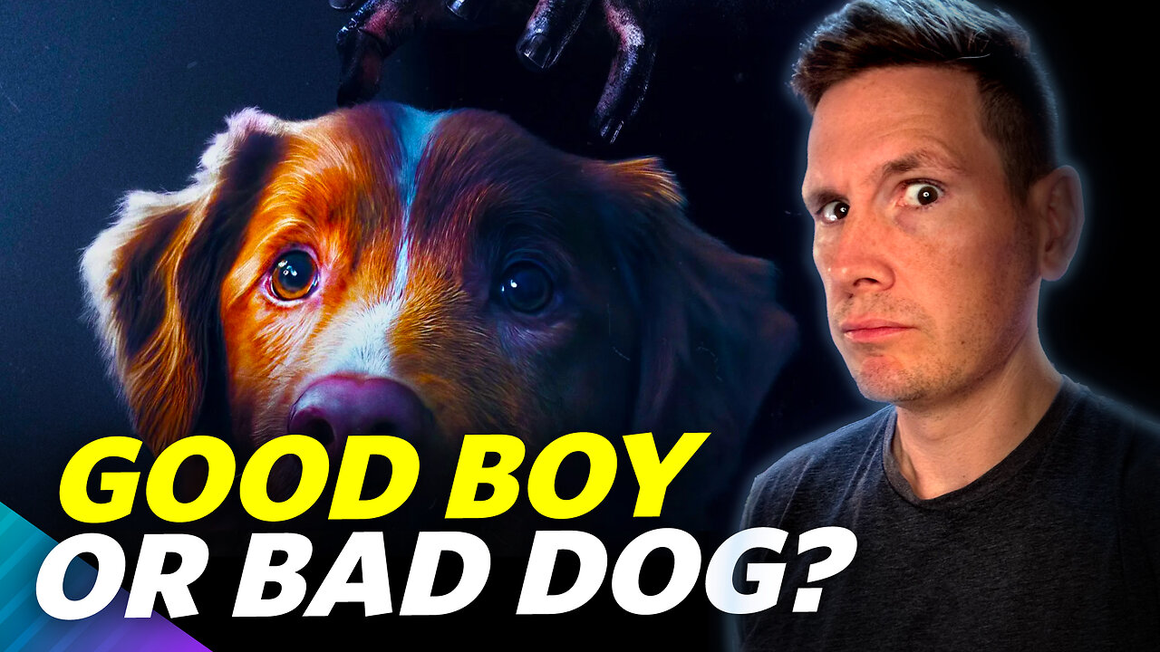 Good Boy - Movie Review
