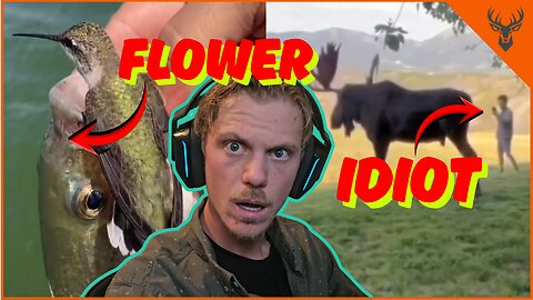 Crazy Animal Behaviors | "Is that a Chupacabra?" | KAMPwild Reacts