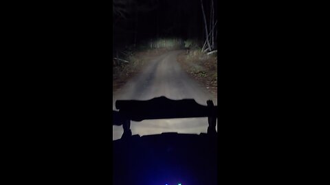 Night Ride Back To Camp