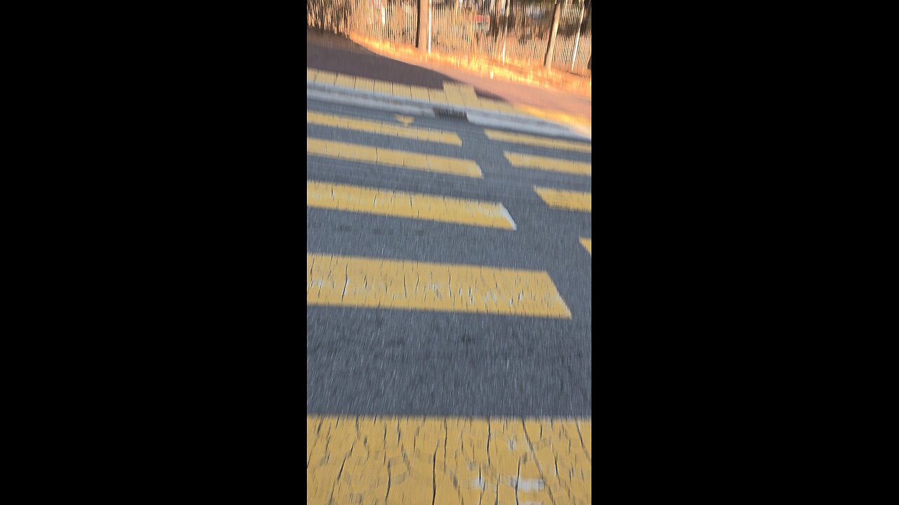 random tree view in the street