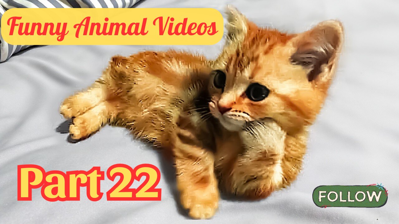 Funny Animal Videos 😂 Try Not to Laugh PART 22
