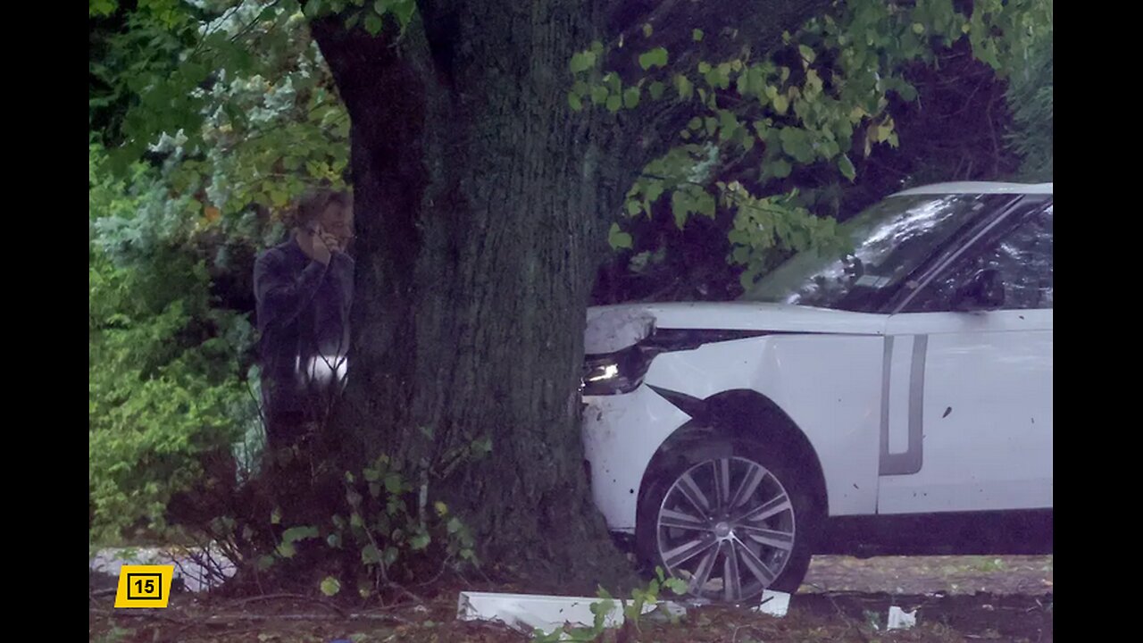 Alec Baldwin Crashes Car Into Tree In The Hamptons