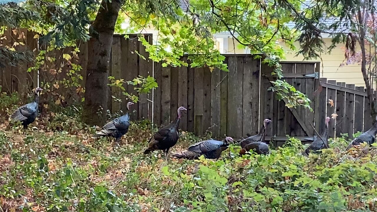 Interrupted Secret TURKEY Meeting!!🦃🦃AWKWARD!🦃ðŸ˜