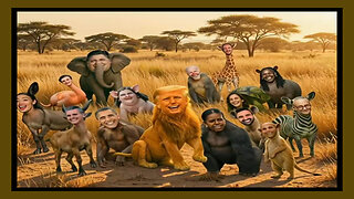 🦍🐒 In the Jungle the Mighty Jungle The Lion Sleeps Tonight! 🐘🦒🦓 Trump Style of Course! 𝄞