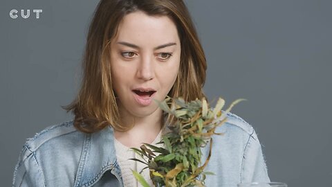 Aubrey Plaza Smokes Pot with the Weed Nuns
