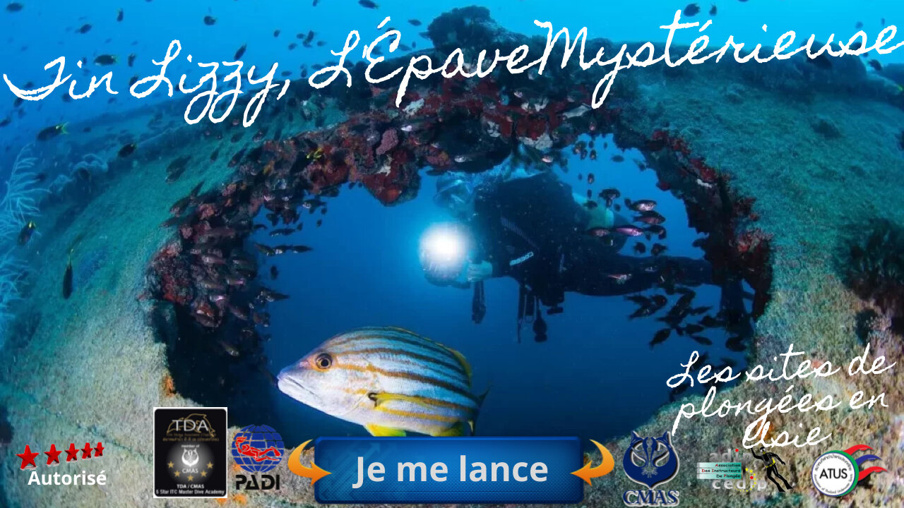 🐠 Tin Lizzy, L'Épave Mystérieuse de la Baie de Bangtao