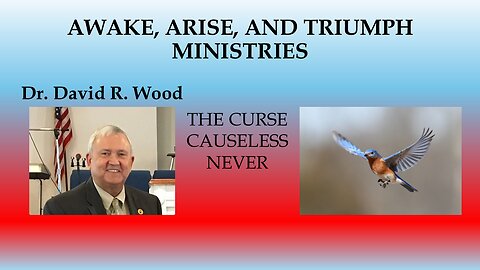 THE CURSE CAUSELESS NEVER - EVERYTHING HAS A REASON