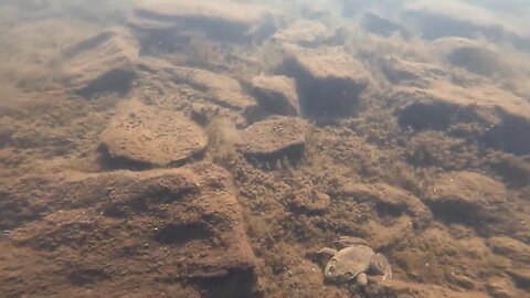 Underwater Adventure