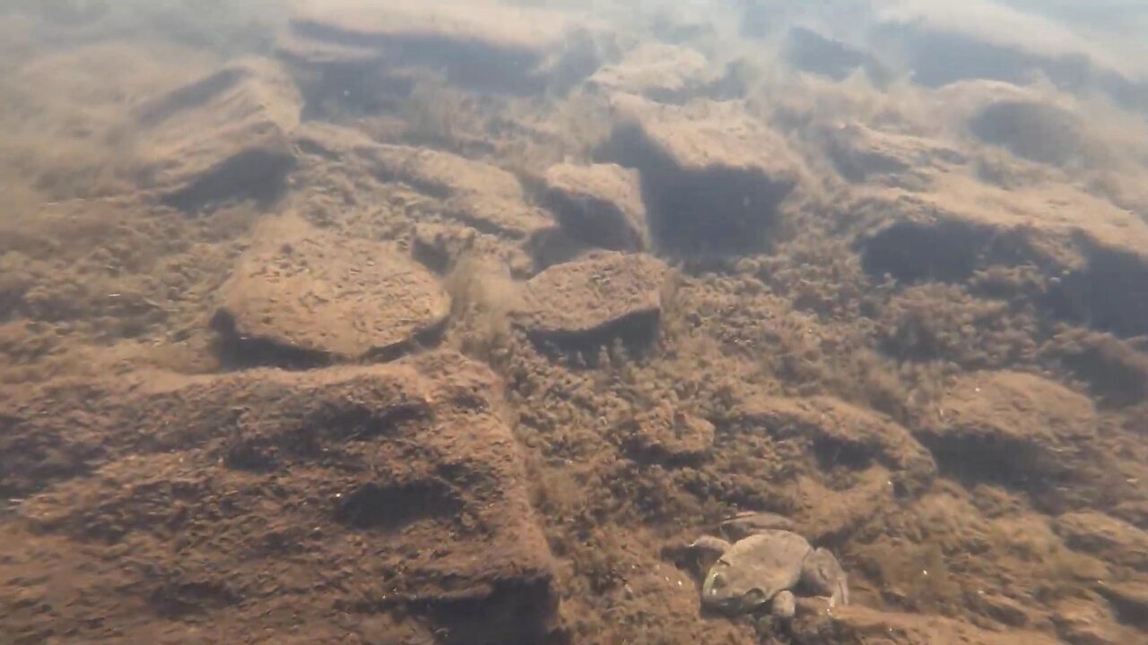 Underwater Adventure