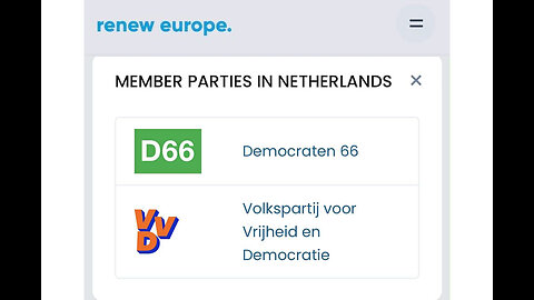 VVD en D66 zijn in Europa aangesloten bij dezelfde partij: Renew Europe