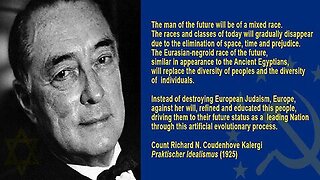 Practical Idealism In Action - The Kalergi Plan | The Crowhouse