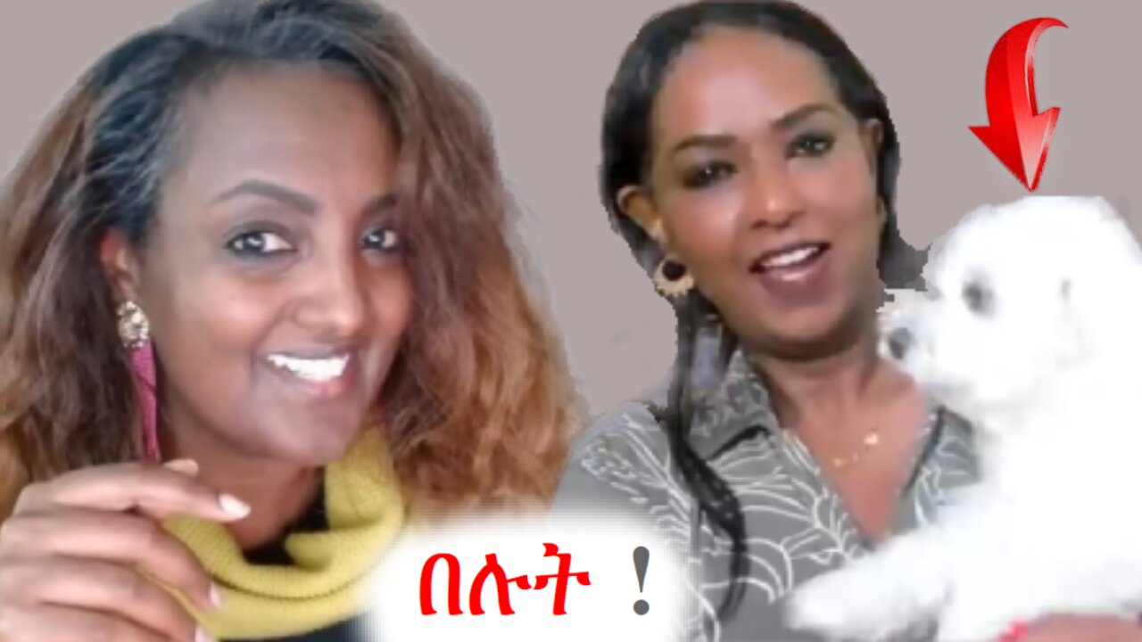 ማሙሽን እንዲህ በደንብ ንገሩልኝ #ethio360