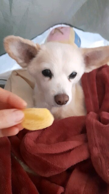 20260202. Remember your God.