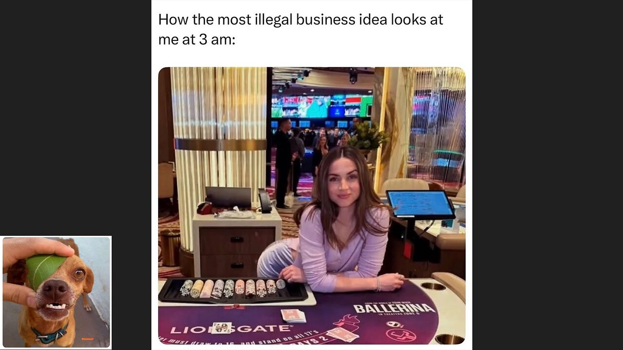 Memes That Will 99.0486% Make You Laugh. (e710)