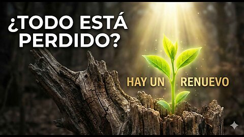 🌱‍ ️Jesús el renuevo | Zacarías 6:12