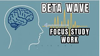 Active Concentration (12 Hours) ¦ Pure 14 Hz Low Beta Wave for Work