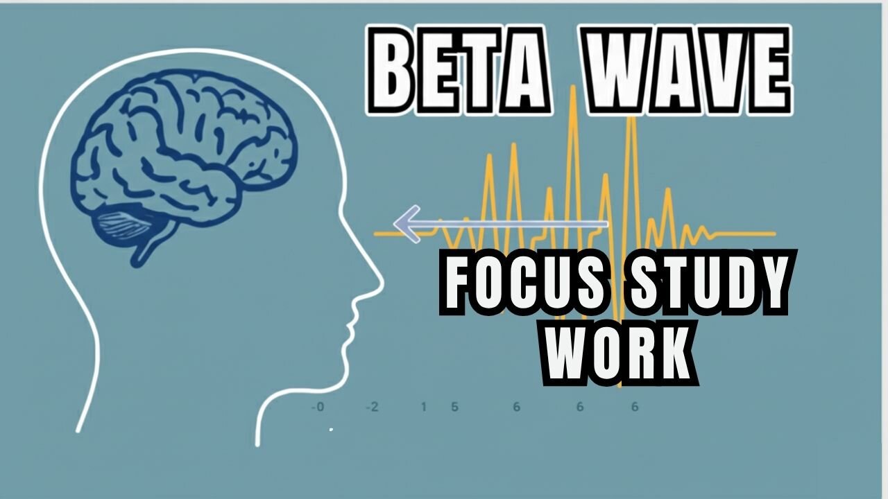 Active Concentration (12 Hours) ¦ Pure 14 Hz Low Beta Wave for Work