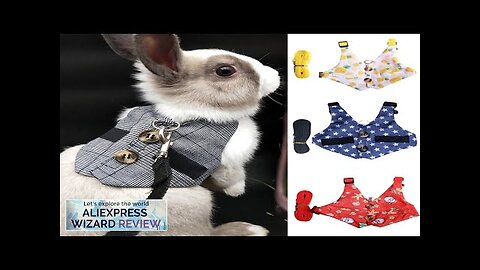 Cute Print Littel Cat Rabbit Harness and Leash Set Outdoor Walking Pet Review