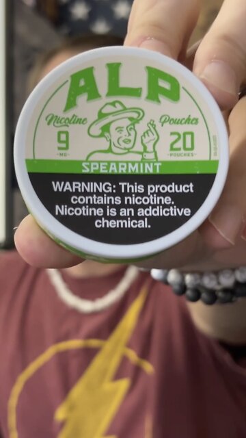 Alp Spearmint Nicotine Pouches Review