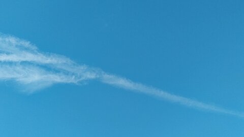 Los Angeles Sky Poison