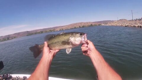 Fishing Banks Lake in Washington day 2