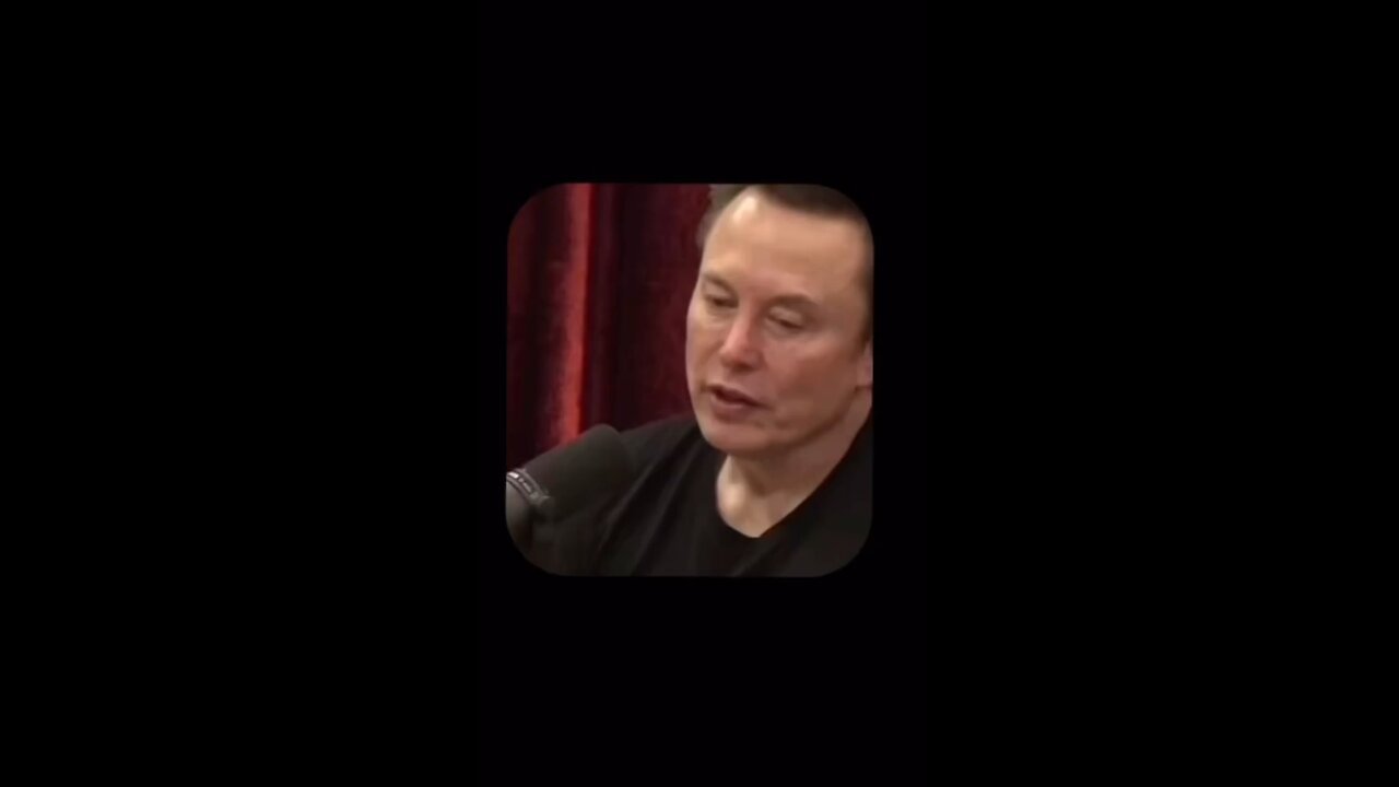 The AI Future