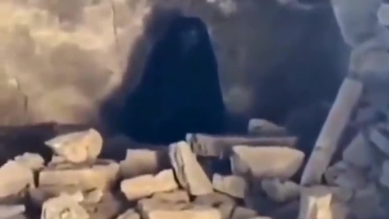 👹⚠️ What Is That Thing? Unbelievable Creature Caught on Camera! Unknown Entity | TheHauntingHour