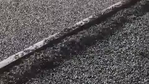 🤔💡 How Crushed Granite Works On Roads | FeedMyCuriosity