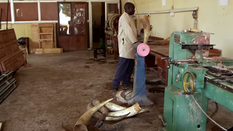 Ugandan startup turns cow horns into affordable eyewear