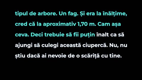 61 - Coama leului
