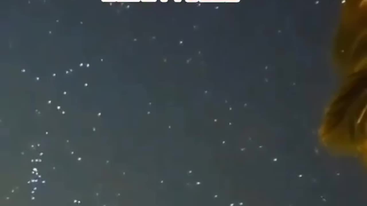 WE HAVE BEEN LIED TO