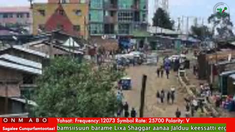 Oduu Ganama ONM-ABO Sadaasa 3-2025 itti dhiyaadhaa!