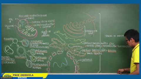 VONEX SEMIANUAL 2023 | Semana 06 | Biología S2