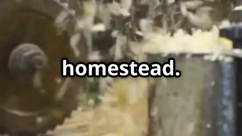 🧪 Sawdust + Wax = Genius Homestead Trick 🔥