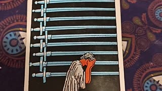 Tarot Card Reading 12/2/25