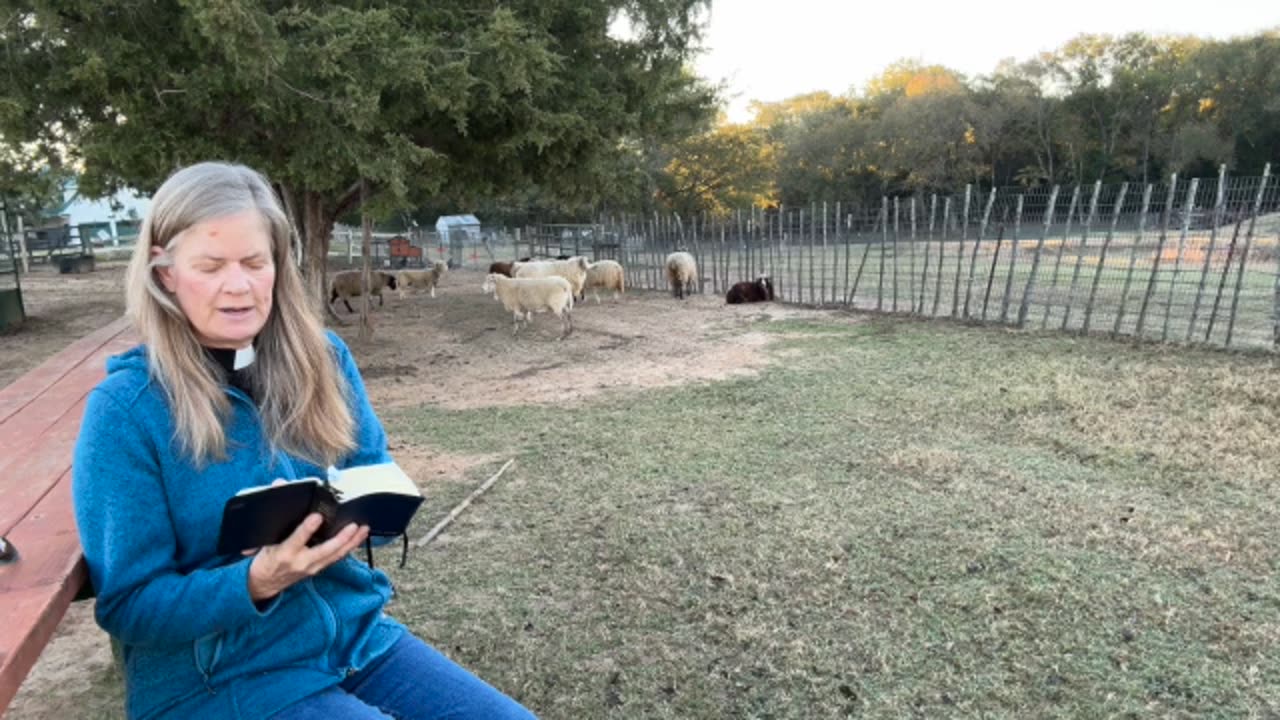 Morning Prayer, Daily Office