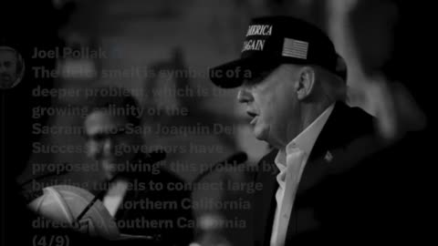 Joel Pollak (X) : Mismanaging Fire Management in Los Angeles, CA