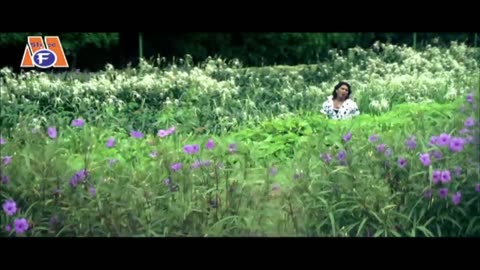 new song ,newmovie hindi,bollywoodsong,hollywood song. credit go to real owners