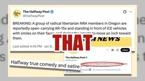 Fact Check: Satire Said 'Radical Libertarian NRA Members' Wielding AR-15s Facing Off With ICE