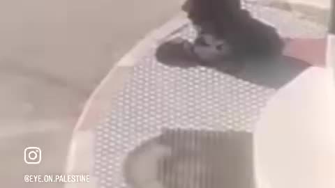 Occupation forces arrested a young man from the village of Farkha after assaulting him