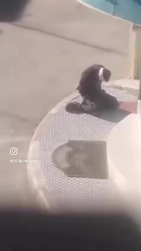 Occupation forces arrested a young man from the village of Farkha after assaulting him