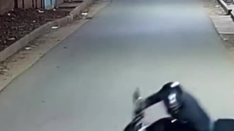 Leopard attack #tigerspotted #lionattack #leopard