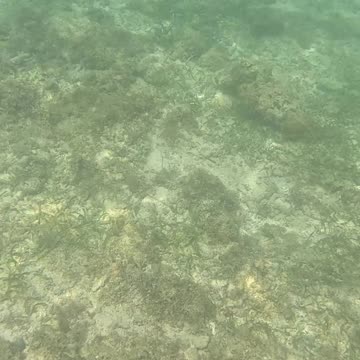 Snorkeling, Underwater Is My Happy Place!