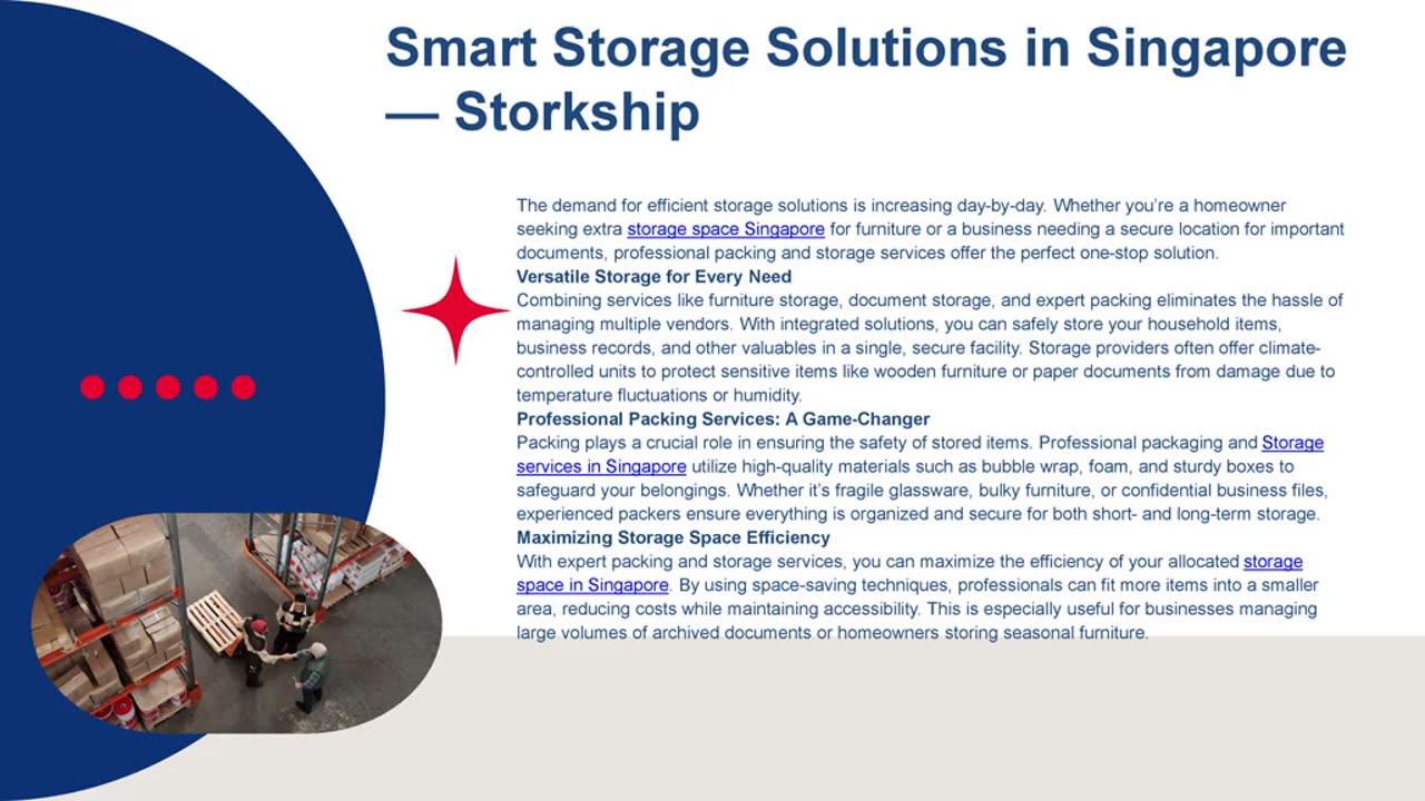 Smart Storage Solutions in Singapore — Storkship