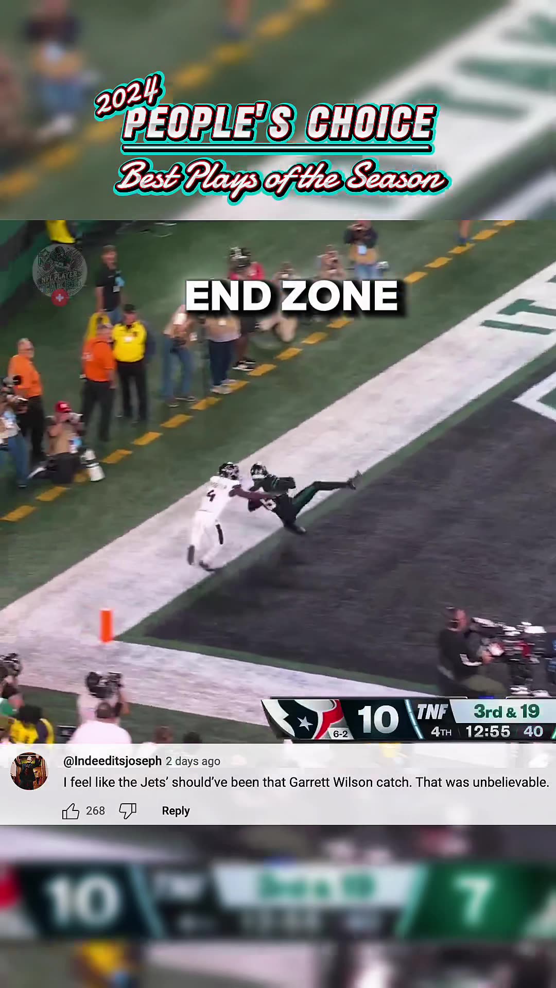 🫵Peoples Choice Best Plays: 2024 NFL Season