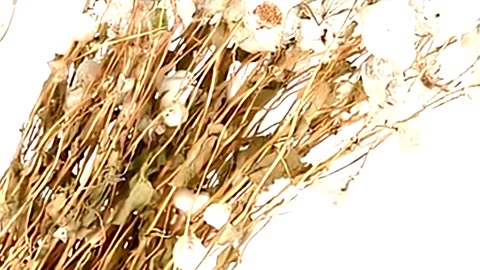 He Drank Silver—Turned Blue Forever