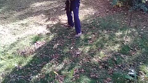 Yellow Branch Form #martialarts