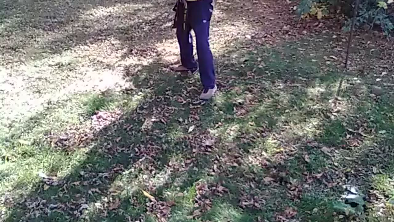 Yellow Branch Form #martialarts