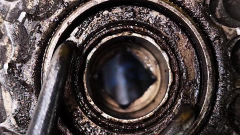 How many bearing balls were in the top row of the freewheel bike?