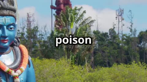 Why Do Devotees Carry Ganga Water? 🙏 | Mini Kawad Story Time #kids #shorts